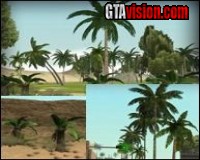 San Andreas-Real palm
